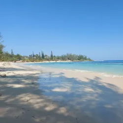 Portland Parish Beaches - Bamboo