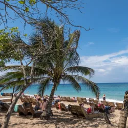 Portland Parish Beaches - Bamboo