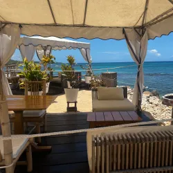 Portland Parish Beaches - Bamboo