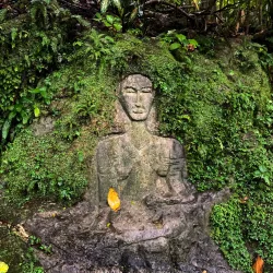 Reach Falls - Bamboo