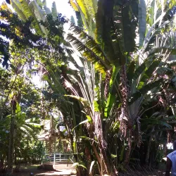 Bath Botanical Gardens - Bath