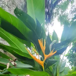 Bath Botanical Gardens - Bath