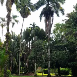 Bath Cultural Center - Bath