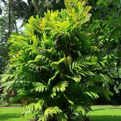 Bath Cultural Center - Bath