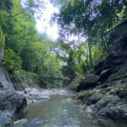 Bath Fountain - Bath