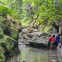 Bath Fountain - Bath