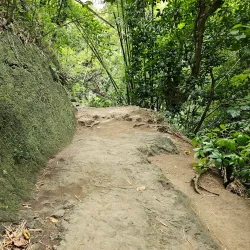 Bath Fountain - Bath