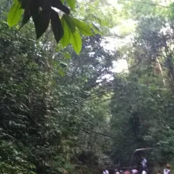 Bath Fountain - Bath