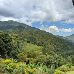 Blue Mountains National Park (nearby) - Bath