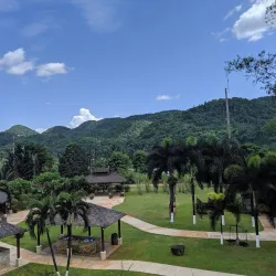 Appleton Estate Rum Tour - Black River