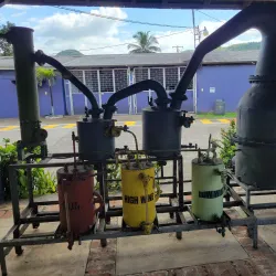 Appleton Estate Rum Tour - Black River