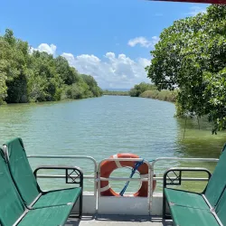 Black River Morass - Black River