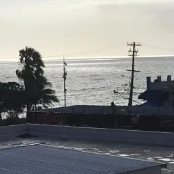 Black River Morass - Black River