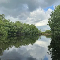 Black River Safari - Black River