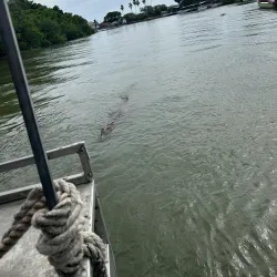 Black River Safari - Black River