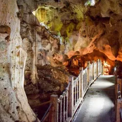 Green Grotto Caves - Black River