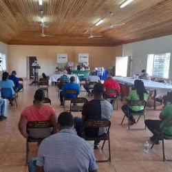 Pedro Plains - Black River