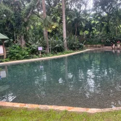 YS Falls - Black River