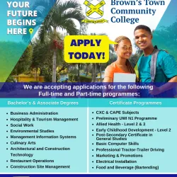 Brown's Town Community Centre - Brown's Town