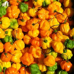 Brown's Town Market - Brown's Town