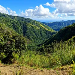 Cinchona Botanical Gardens - Brown's Town