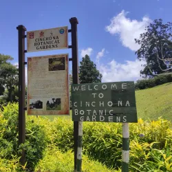 Cinchona Botanical Gardens - Brown's Town