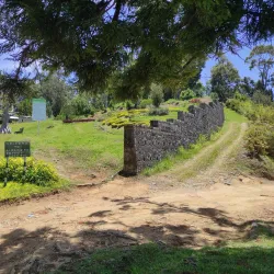 Cinchona Botanical Gardens - Brown's Town