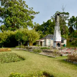 Cinchona Botanical Gardens - Brown's Town