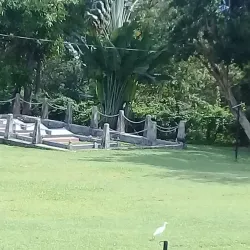 Seville Great House and Heritage Park - Brown's Town