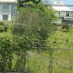 St. Ann's Bay - Brown's Town