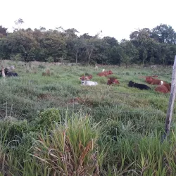 St. Ann's Bay - Brown's Town