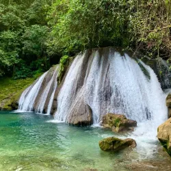 Reach Falls - Buff Bay