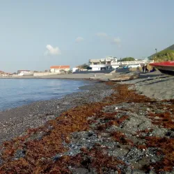 Bull Bay Beach - Bull Bay