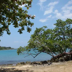 Bull Bay Market - Bull Bay