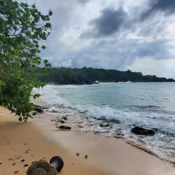 Bull Bay Market - Bull Bay