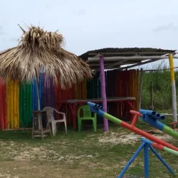 Natural Springs Exploration - Bull Bay