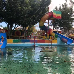 Natural Springs Exploration - Bull Bay