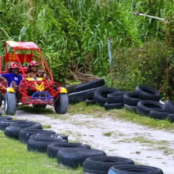 Natural Springs Exploration - Bull Bay