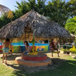 Natural Springs Exploration - Bull Bay