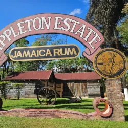 Appleton Estate Rum Tour - Cambridge
