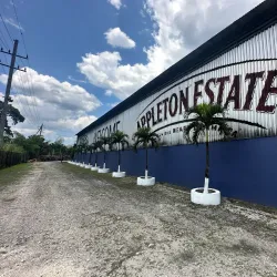 Appleton Estate Rum Tour - Cambridge