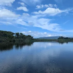 Black River Safari - Cambridge