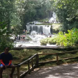 Llandovery Falls - Cambridge