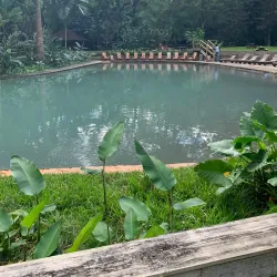 Llandovery Falls - Cambridge