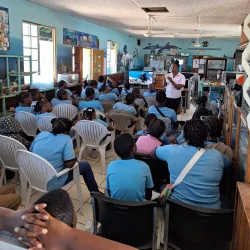 Montego Bay Marine Park - Cambridge