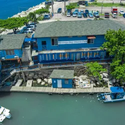 Montego Bay Marine Park - Cambridge