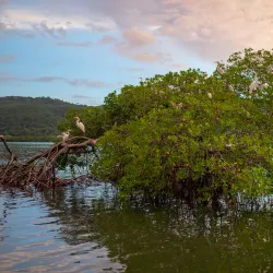 Montego Bay Marine Park - Cambridge