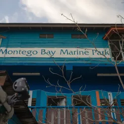 Montego Bay Marine Park - Cambridge