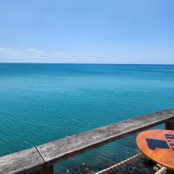 Montego Bay Marine Park - Cambridge