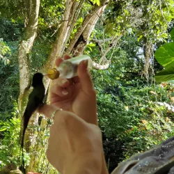 Rocklands Bird Sanctuary - Cambridge